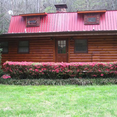 Buffalo Creek Bed And Breakfast Robbinsville Exteriér fotografie