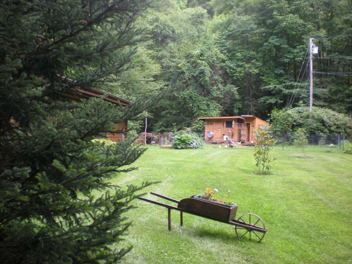 Buffalo Creek Bed And Breakfast Robbinsville Exteriér fotografie